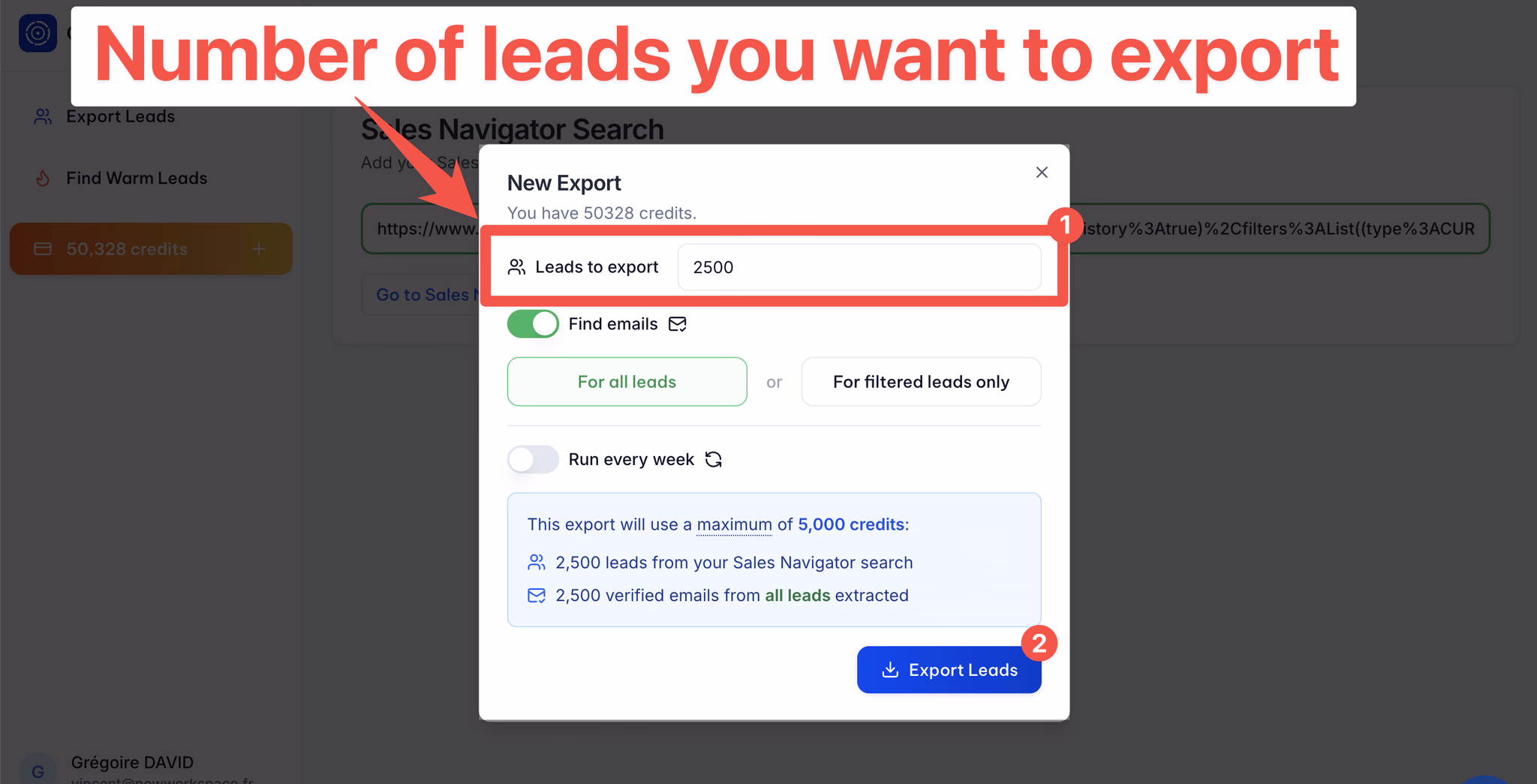 Choose how many leads you want to export on GiveMeLeads