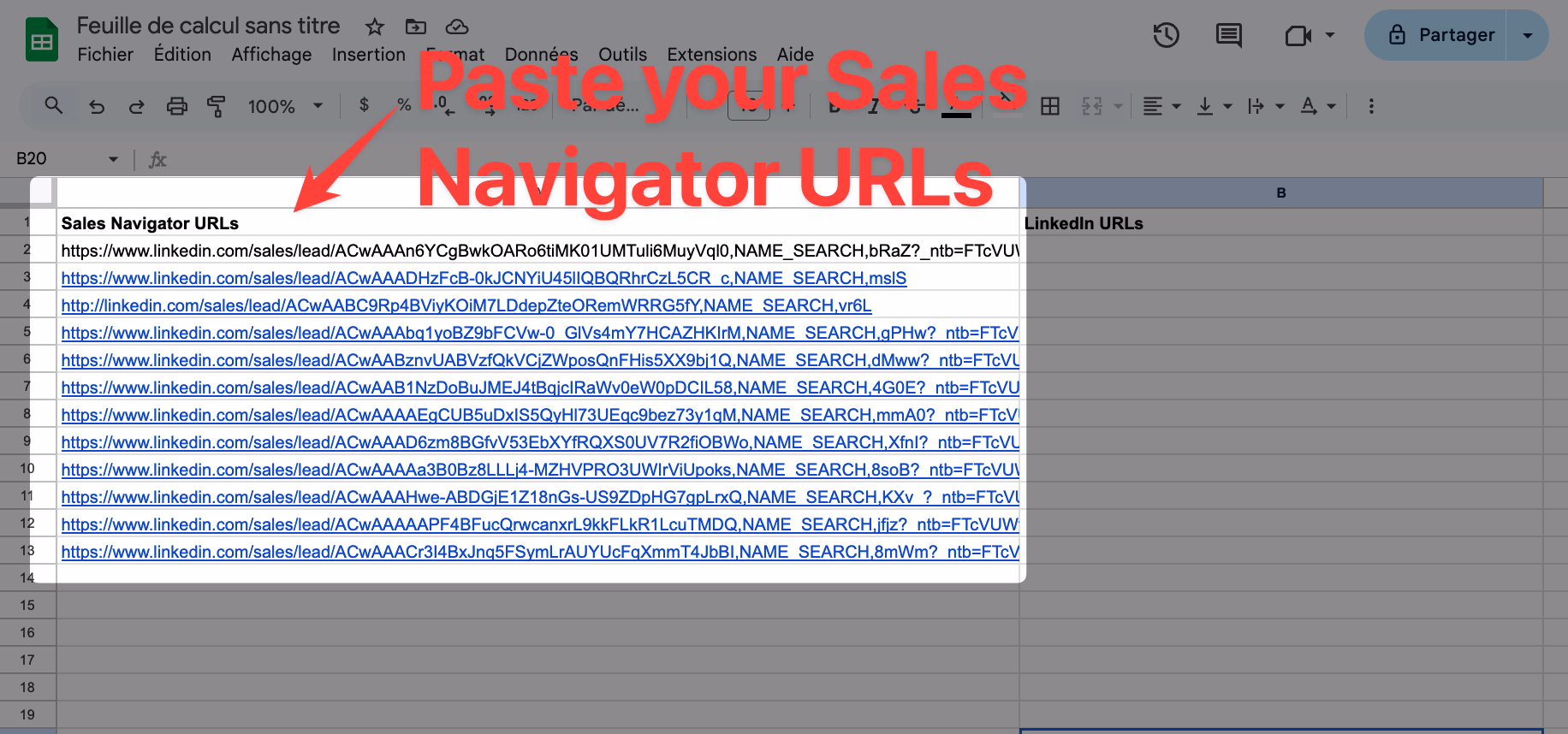 Paste the Sales Navigator URLs