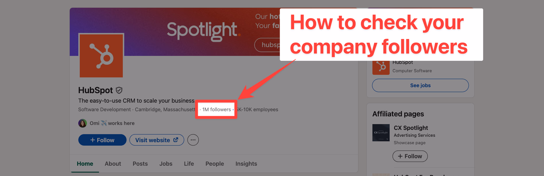 How To Export LinkedIn Company Page Followers to Excel