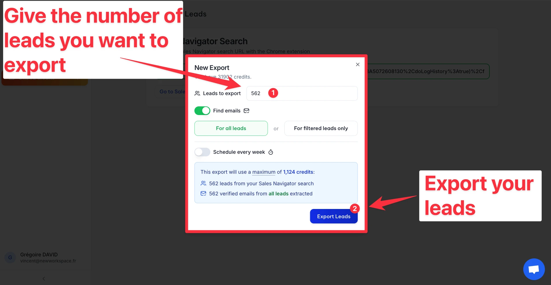 Export popup on GiveMeLeads