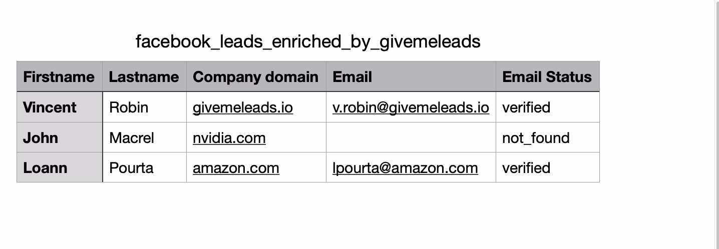 Leads from Facebook with emails