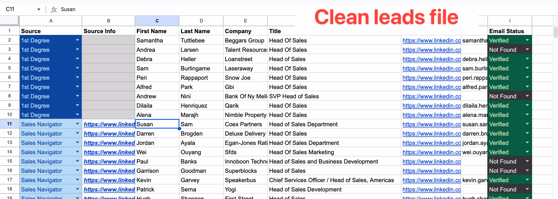 LinkedIn Sales Navigator clean leads file